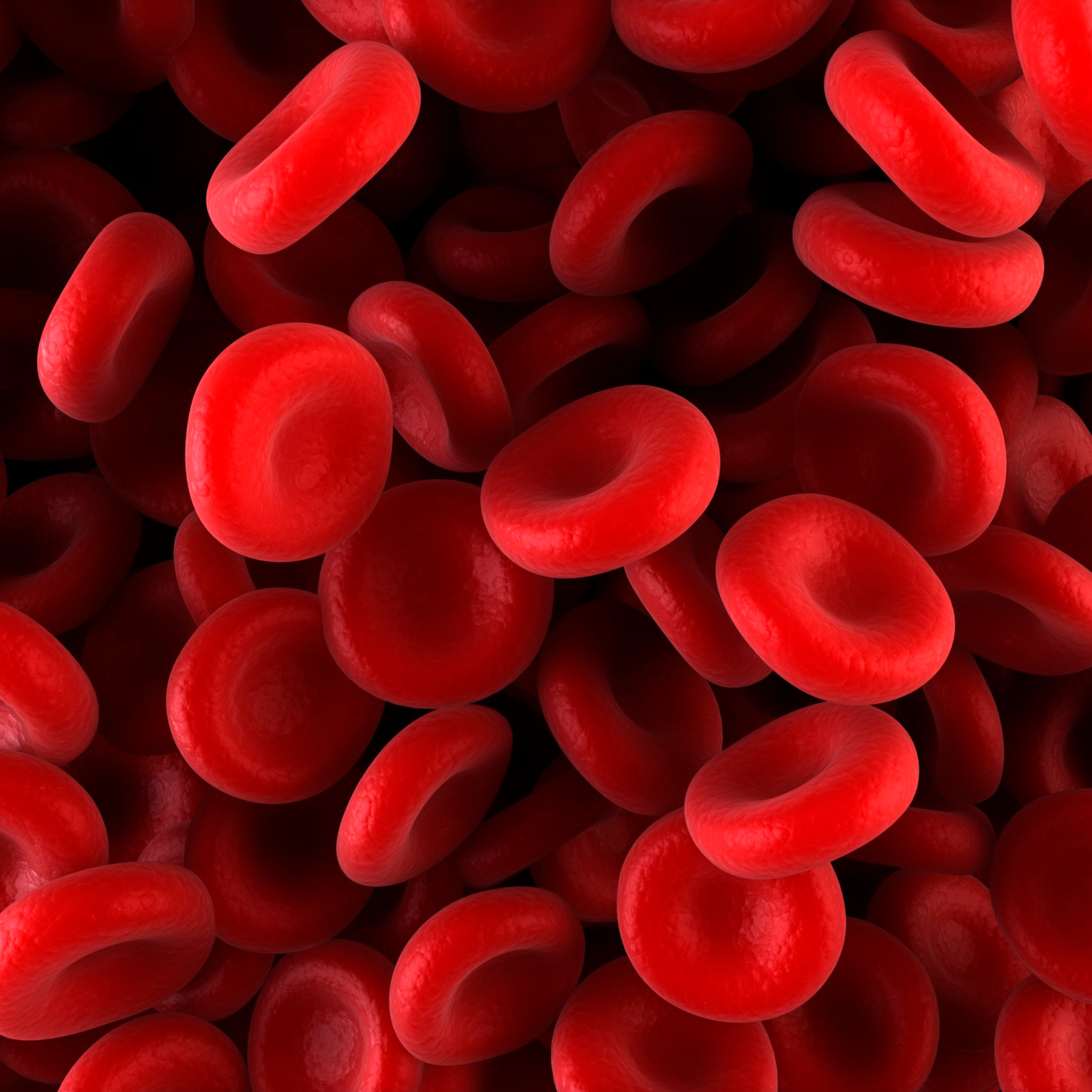 Blood Purifier